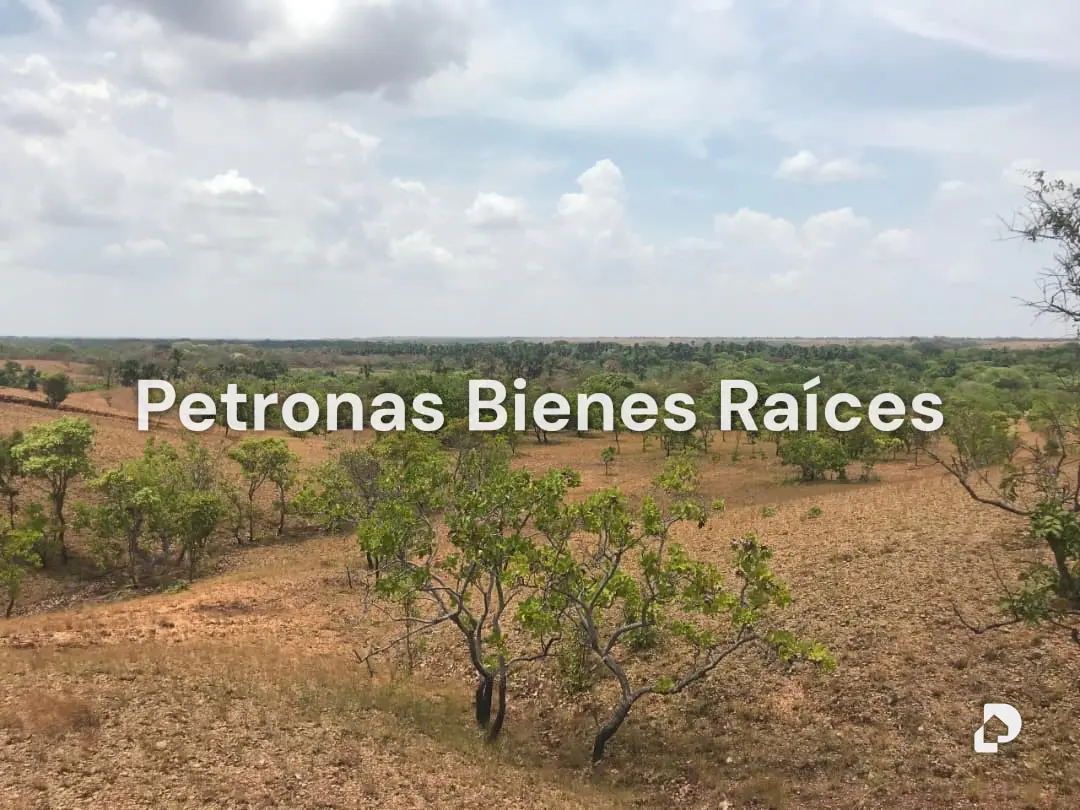 Finca en Las Mercedes del Llano – 1