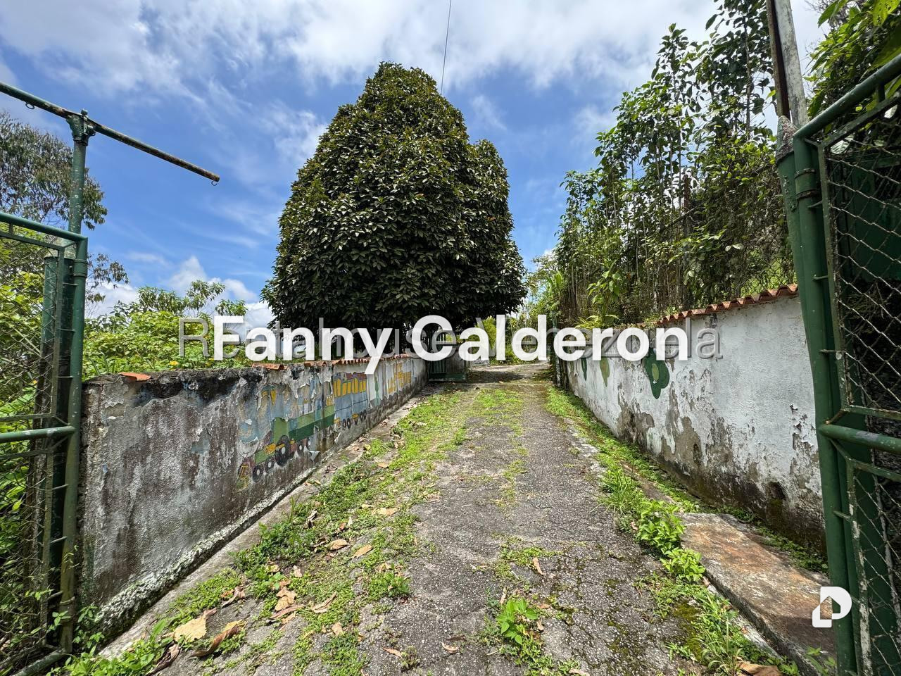 Terreno en Municipio Carrizal, Carrizal – 3