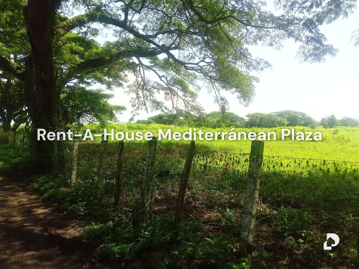 Terreno en Flor Amarillo, Valencia – 7