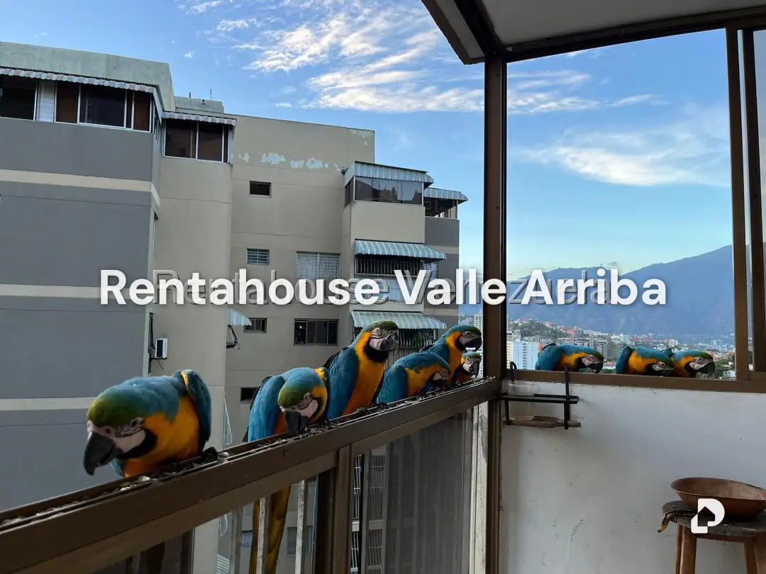 Apartamento en Terrazas del Club Hípico, Caracas – 7
