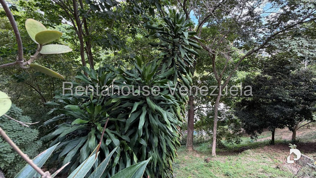 Apartamento en Colinas de Bello Monte, Caracas – 15