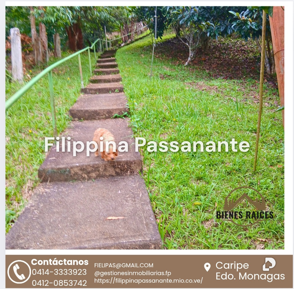 House in San Agustín, Caripe – 3