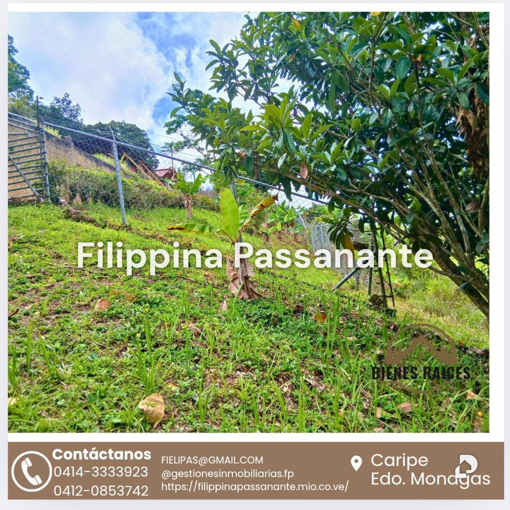 House in San Agustín, Caripe – 13