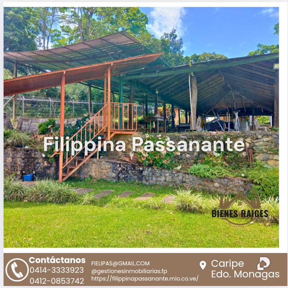 House in San Agustín, Caripe – 5