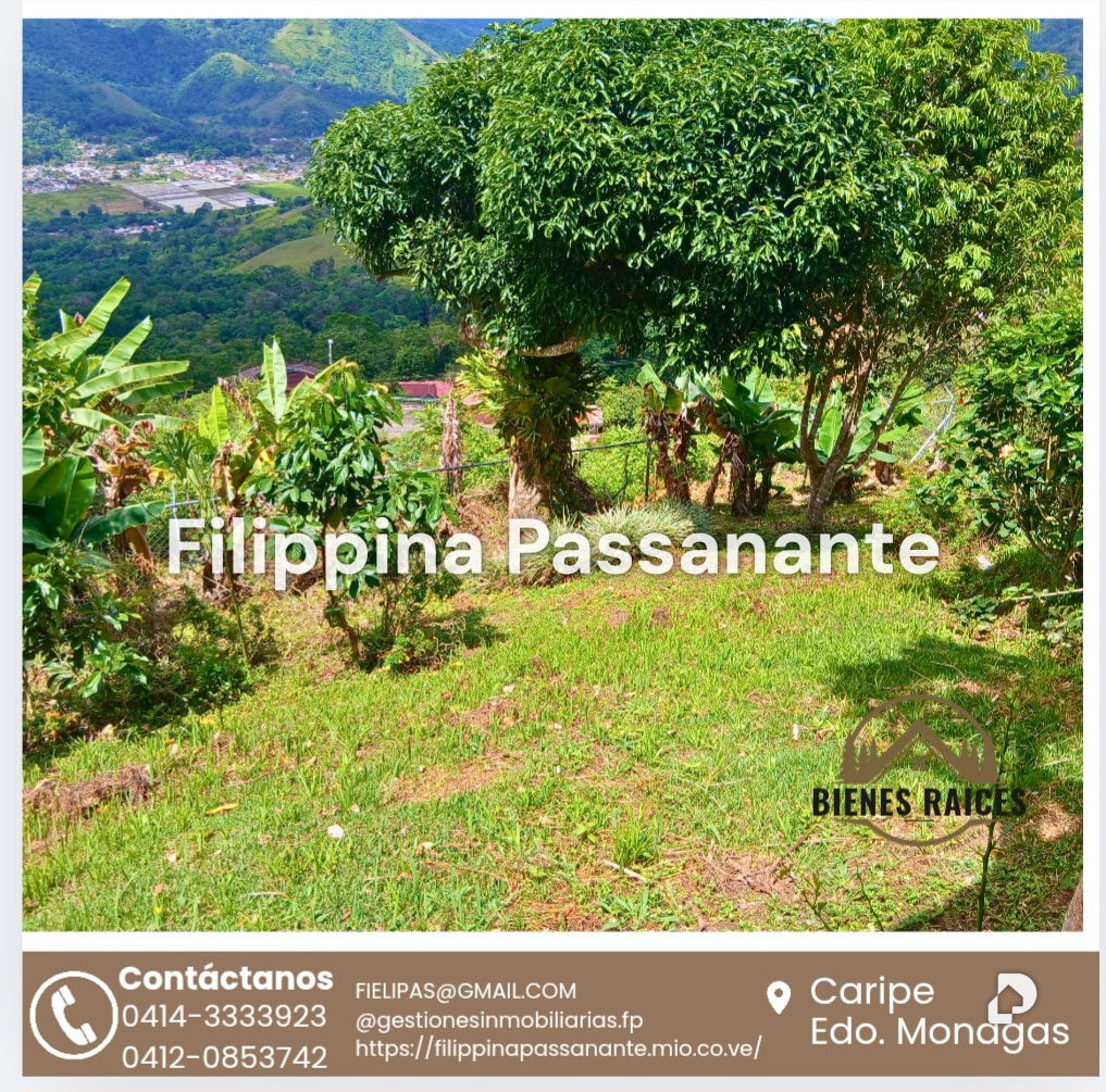 House in San Agustín, Caripe – 11