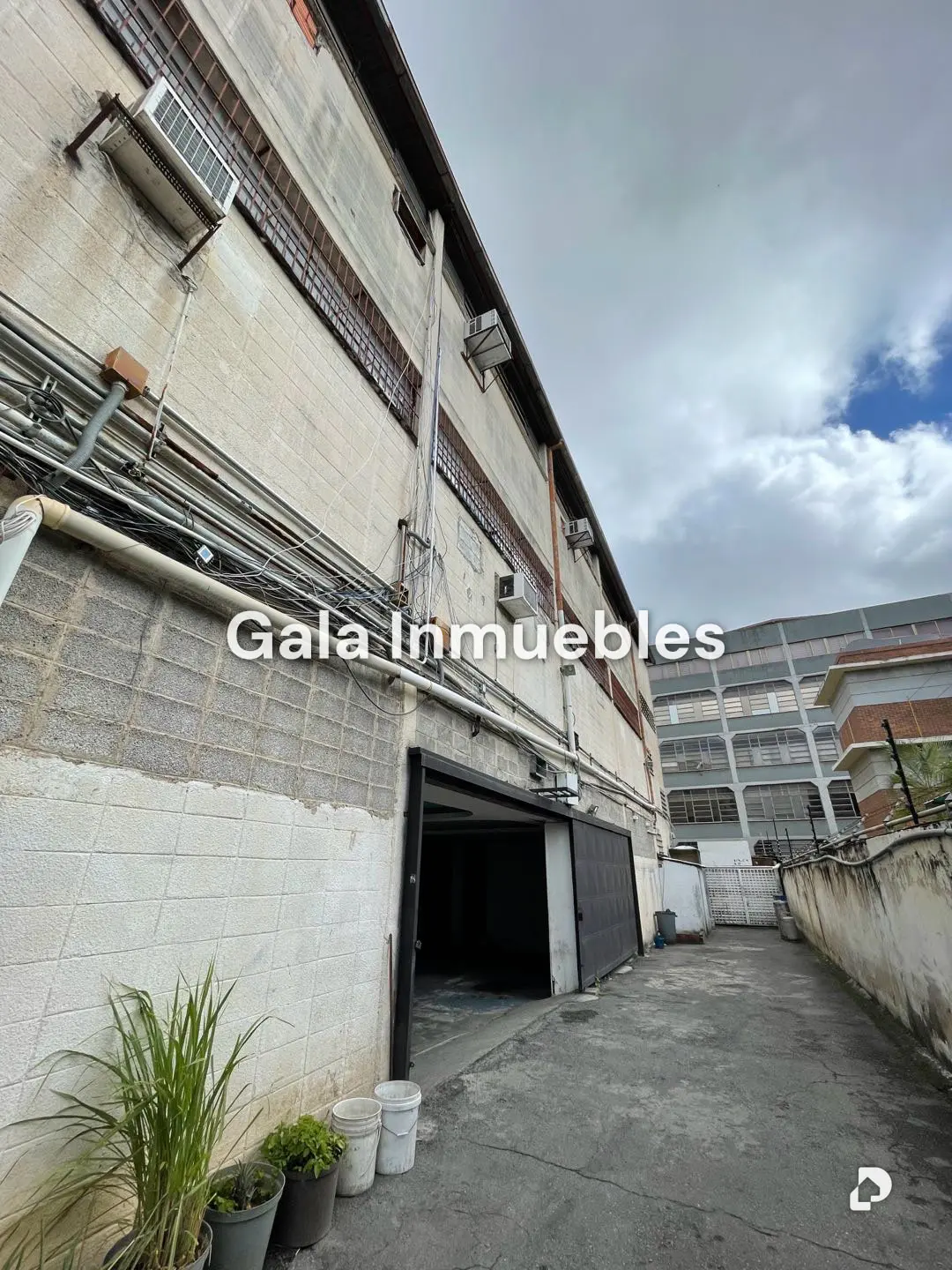 Galpón en Los Ruices, Caracas – 10