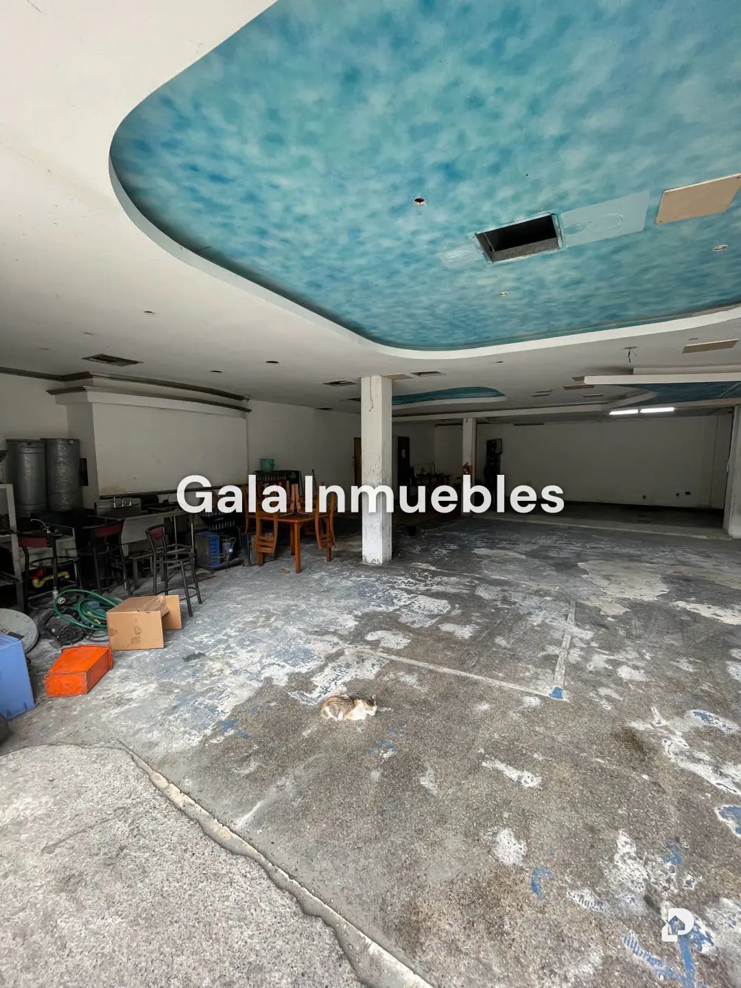 Galpón en Los Ruices, Caracas – 11