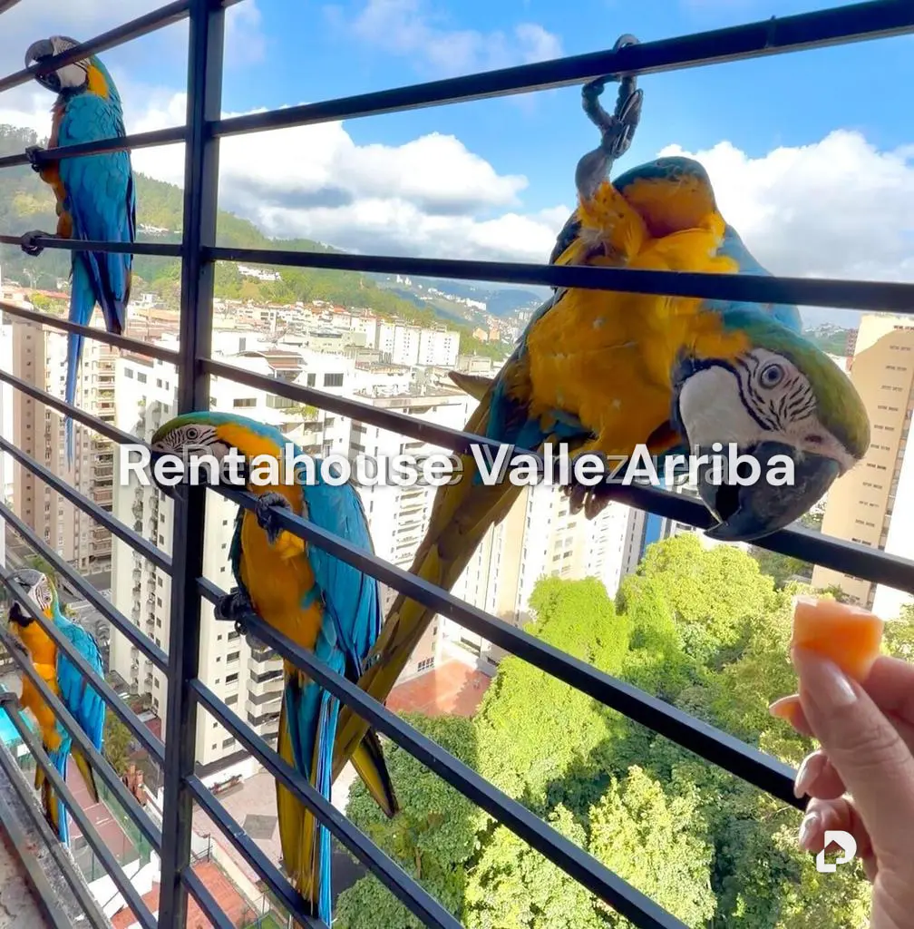 Apartamento en El Cigarral, Caracas – 8