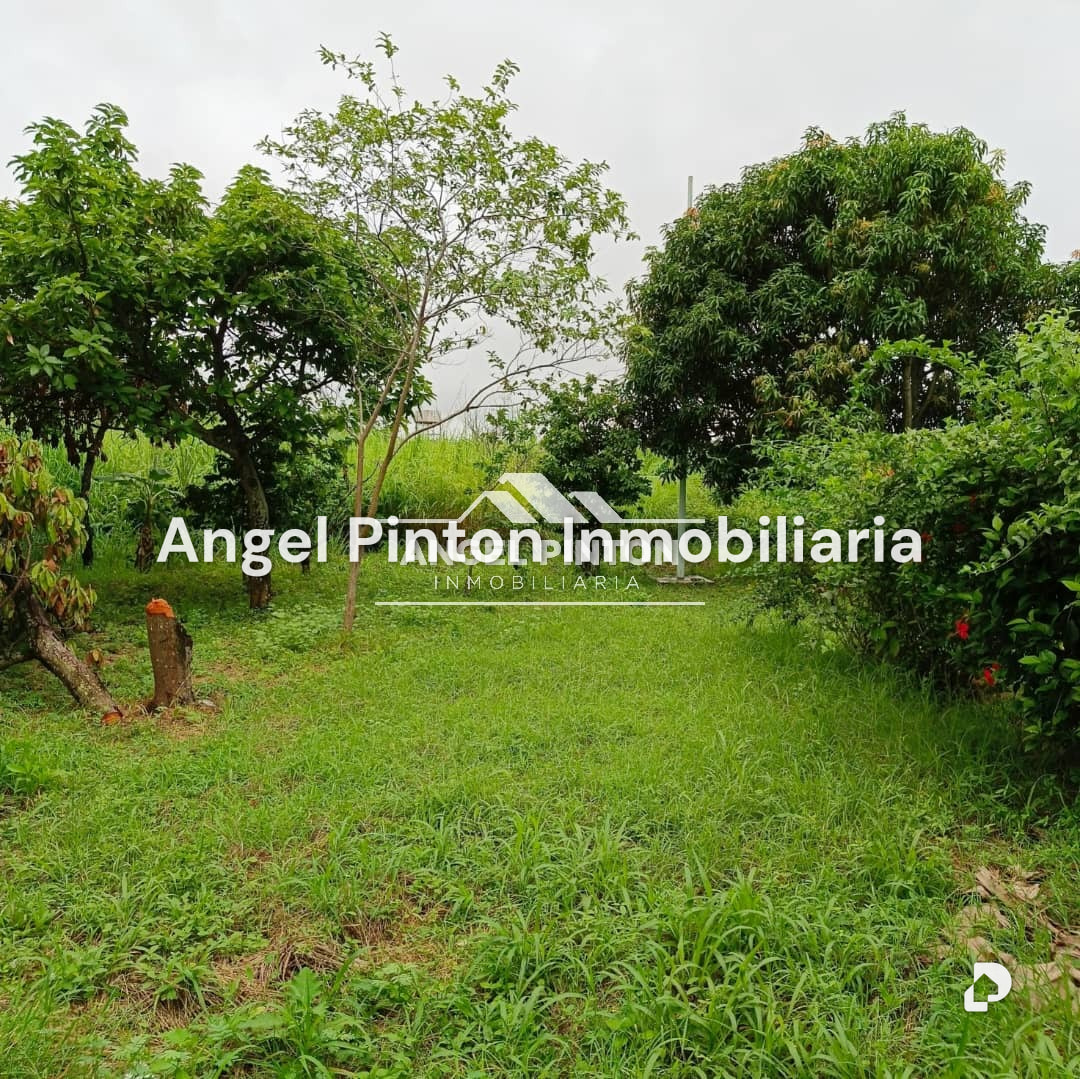 Casa en Vencedores de Araure, Araure – 9