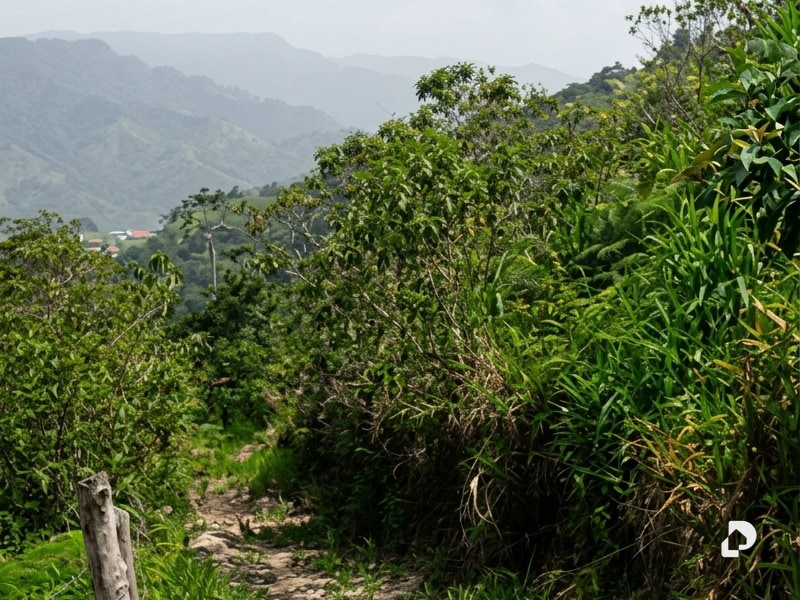 Terreno en Parroquia Montalbán, Ejido – 4