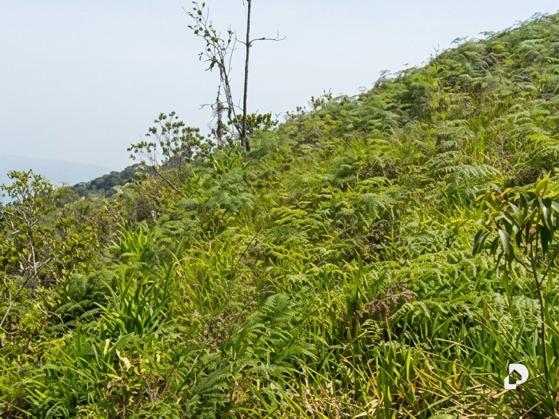 Terreno en Parroquia Montalbán, Ejido – 2