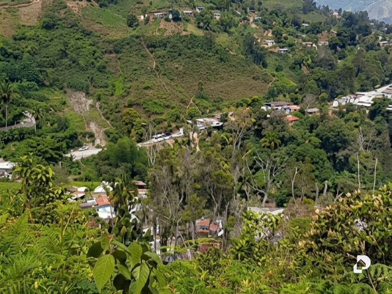 Terreno en Parroquia Montalbán, Ejido – 3
