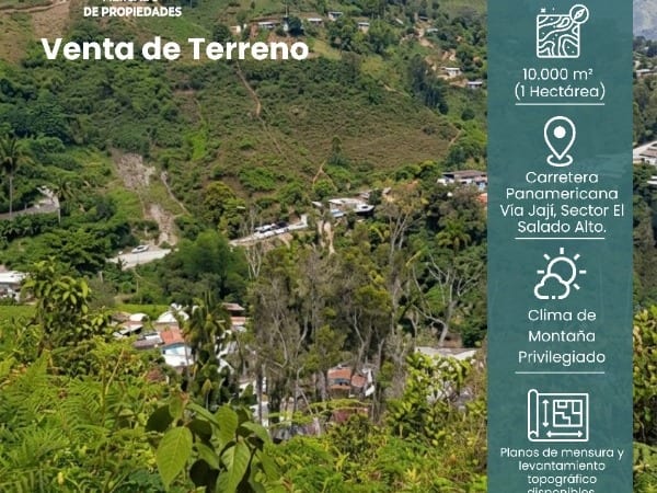Terreno en Parroquia Montalbán, Ejido - 1