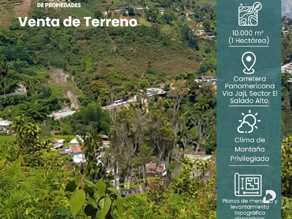 Terreno en Parroquia Montalbán, Ejido – 1