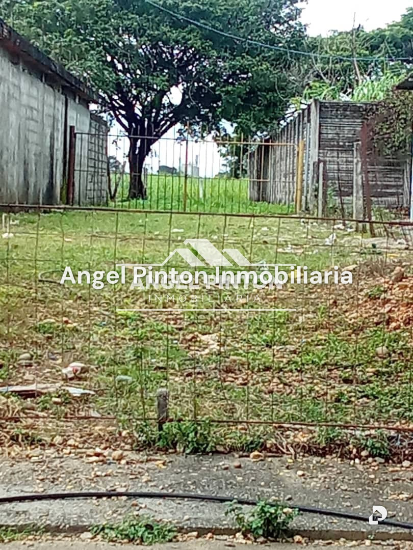 Terreno en La Gomera, Acarigua – 1