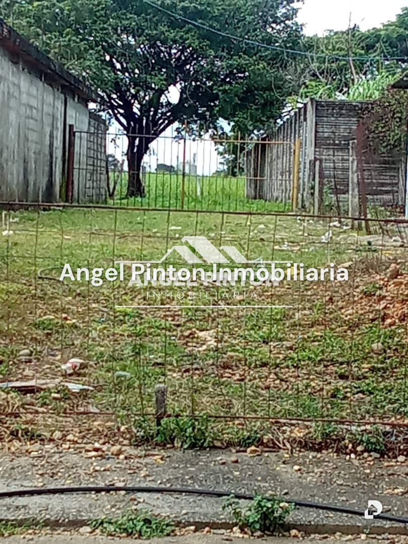 Terreno en La Gomera, Acarigua – 2