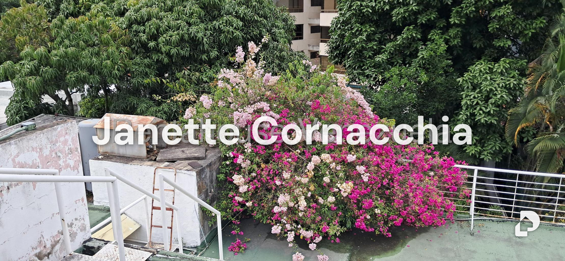 Casa en Altamira, Caracas – 20