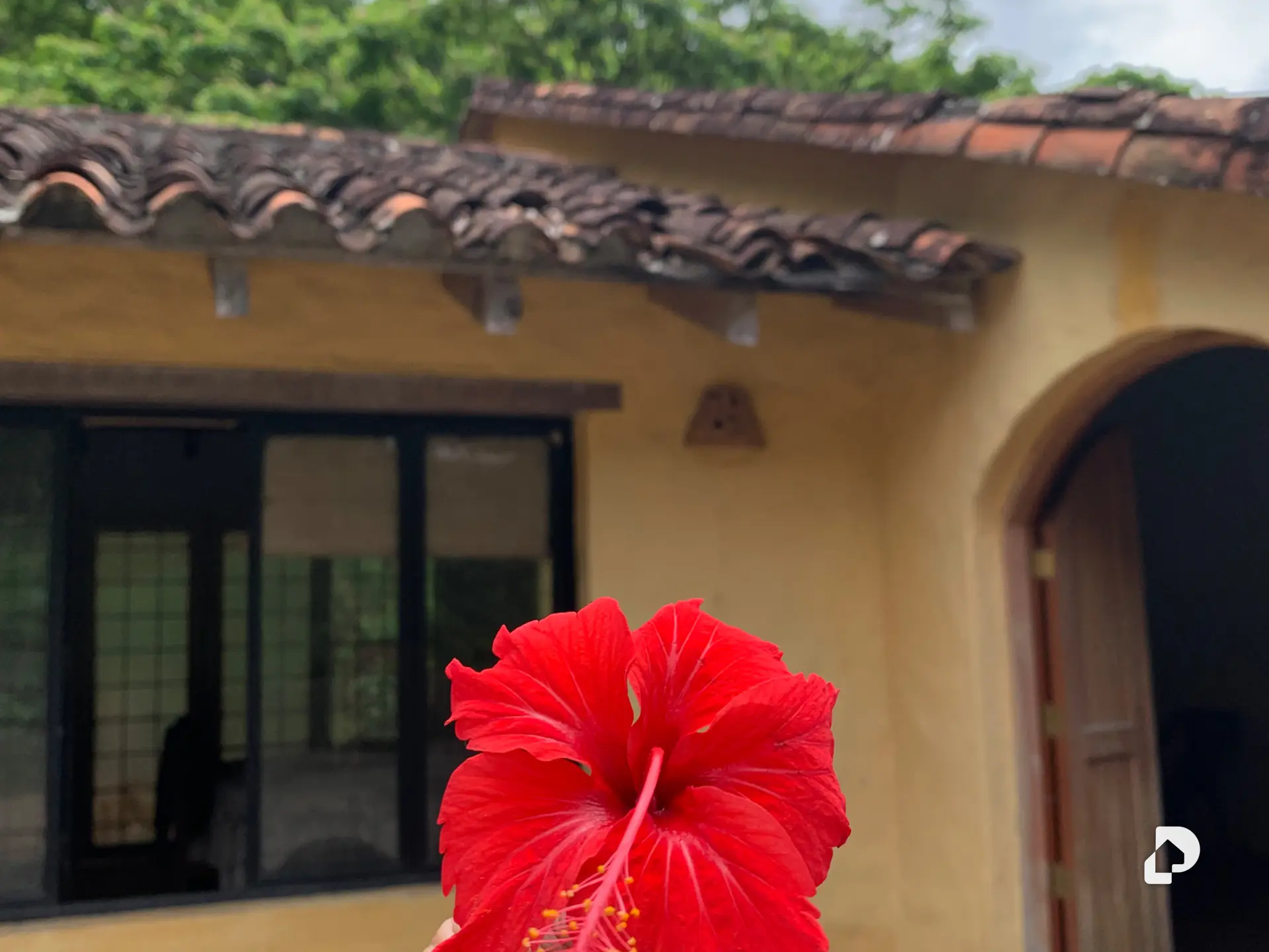 Finca en El Penon – 3