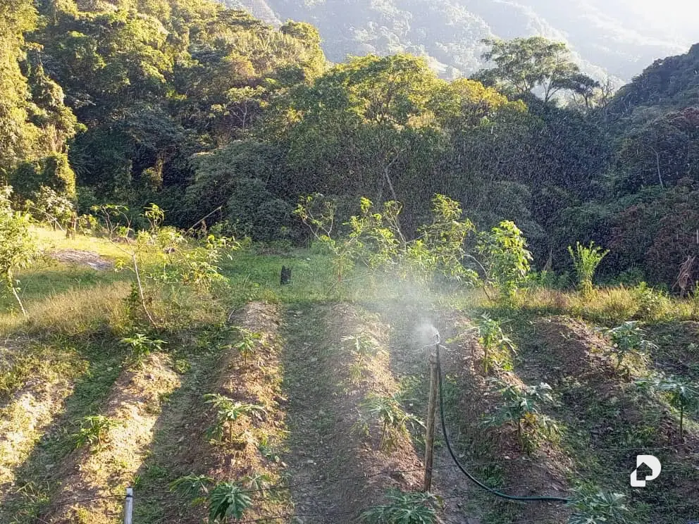 Finca en El Penon – 22