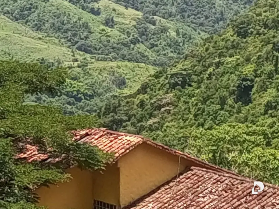 Finca en El Penon – 11
