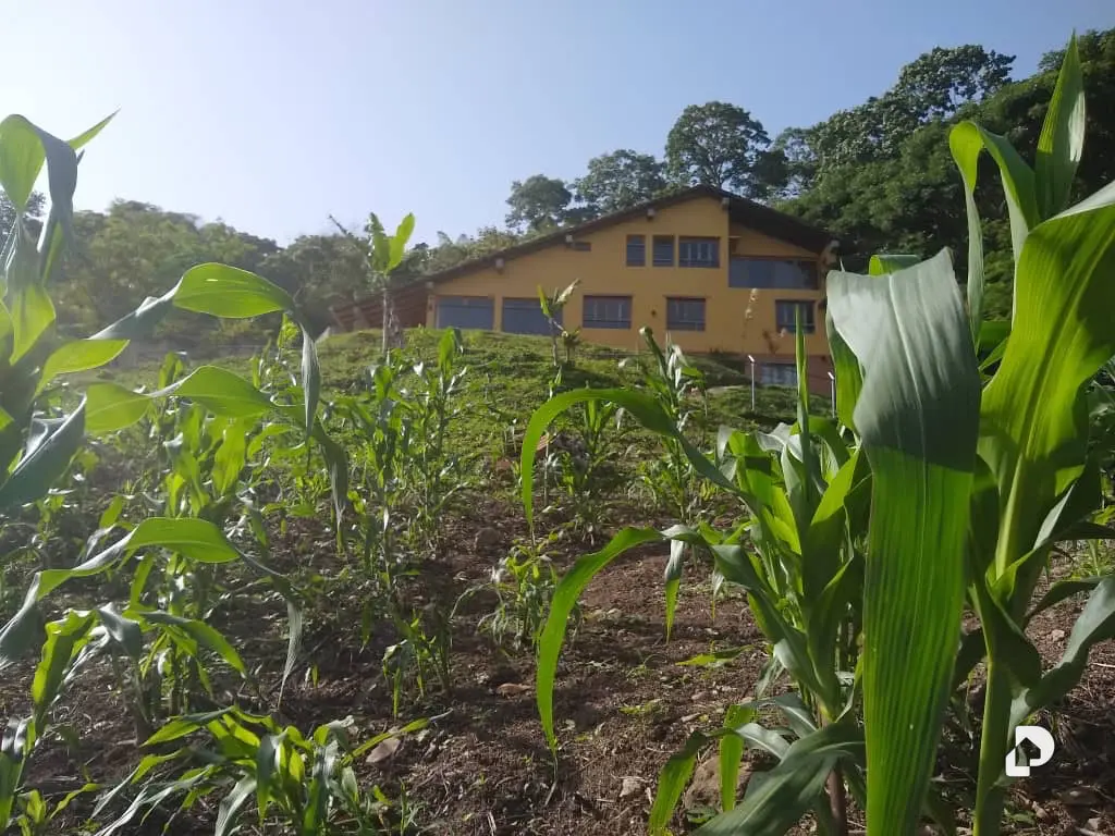 Finca en El Penon – 19