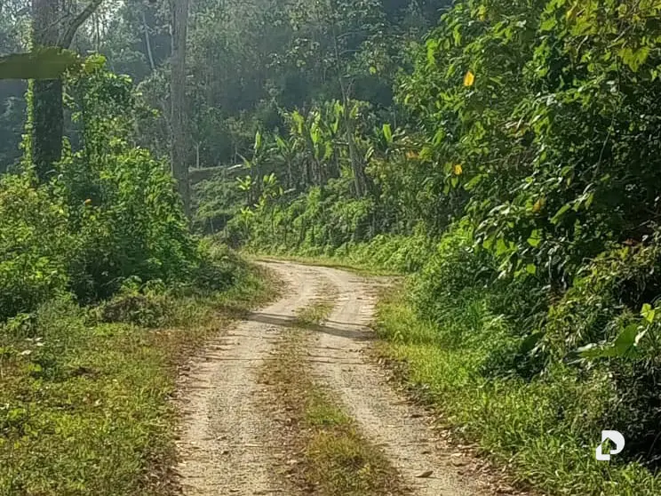 Finca en El Penon – 20