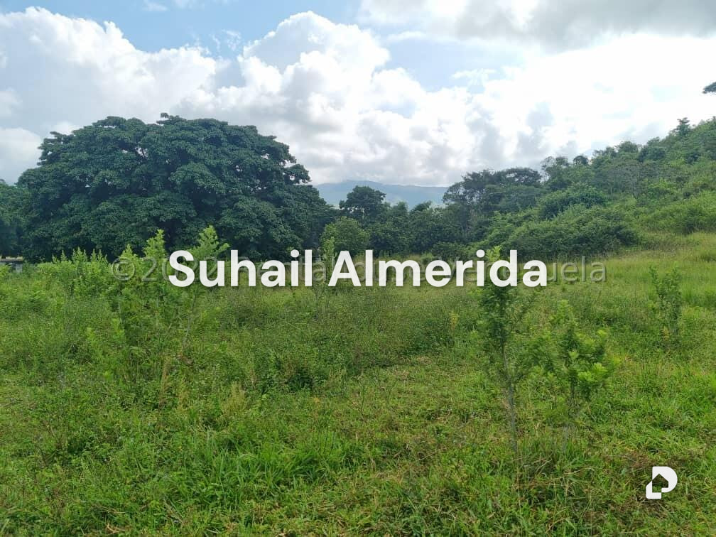 Terreno en Bejuma