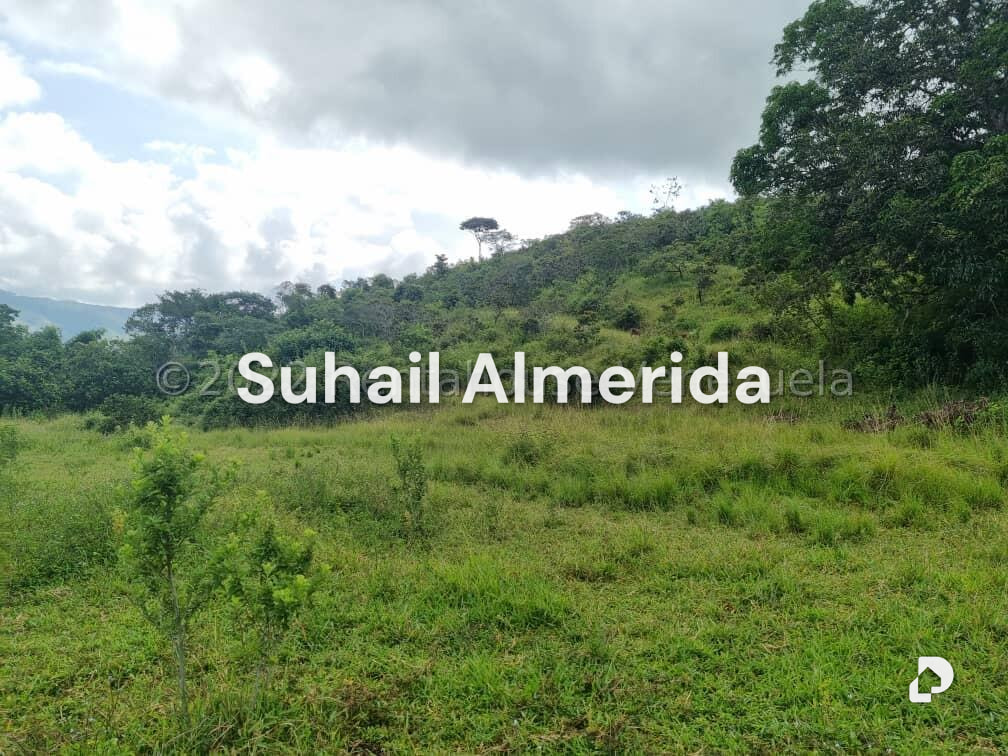 Terreno en Bejuma