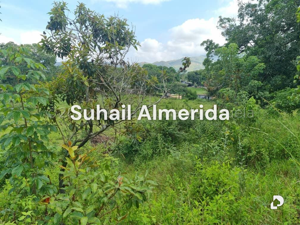 Terreno en Bejuma