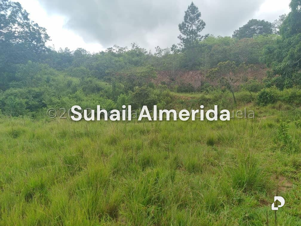 Terreno en Bejuma