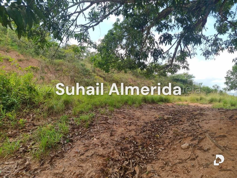 Terreno en Bejuma