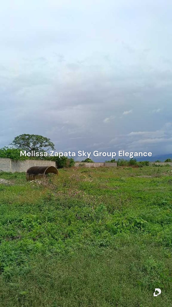 Terreno en Barquisimeto – 5