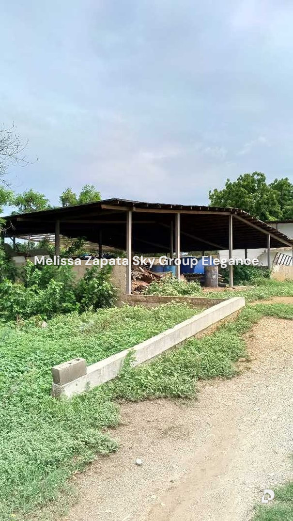 Terreno en Barquisimeto – 8