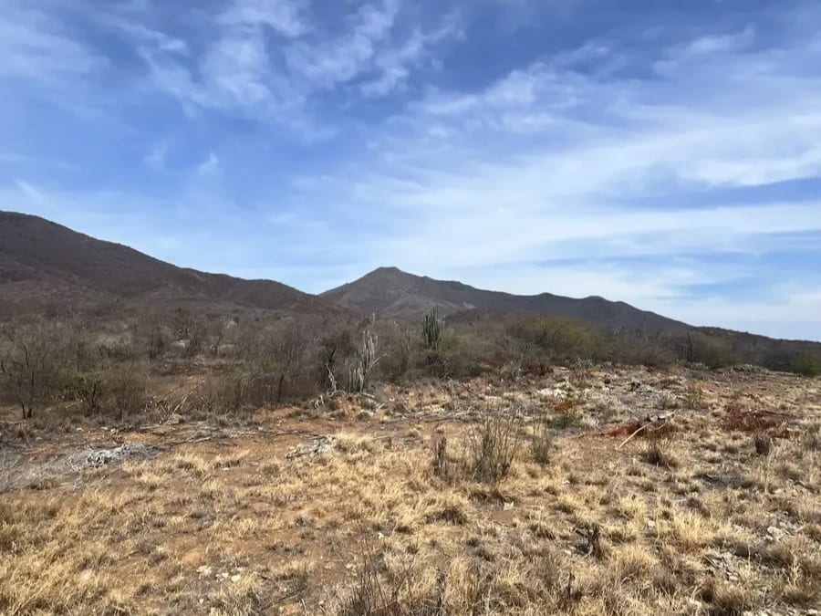 Terreno en Margarita (noreste) - 1