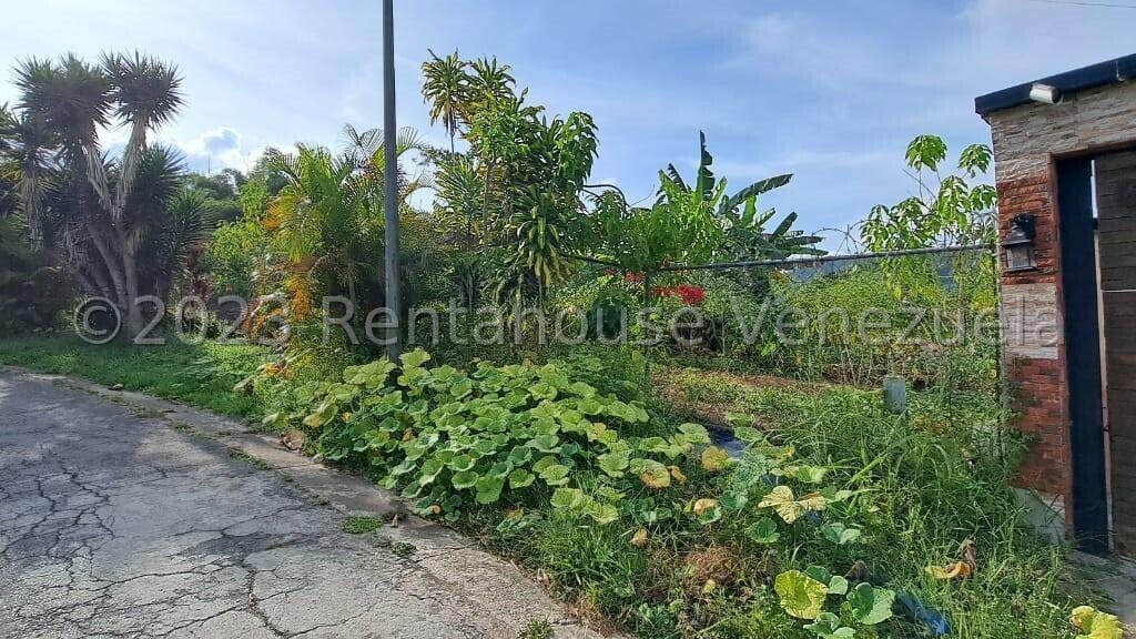 Terreno en Monte Elena, Caracas - 1