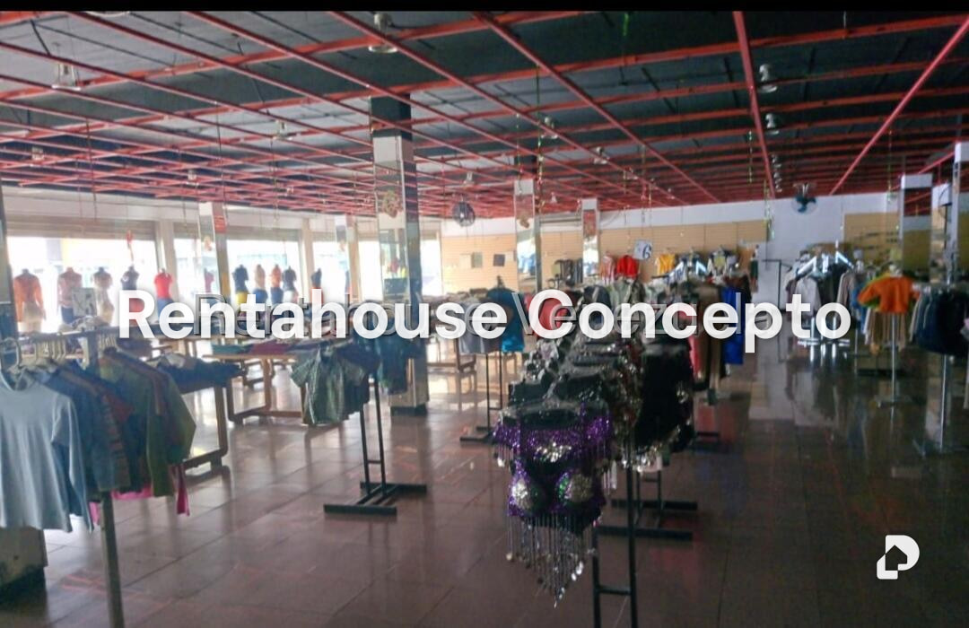 Local comercial en Cantaclaro, San Carlos – 4