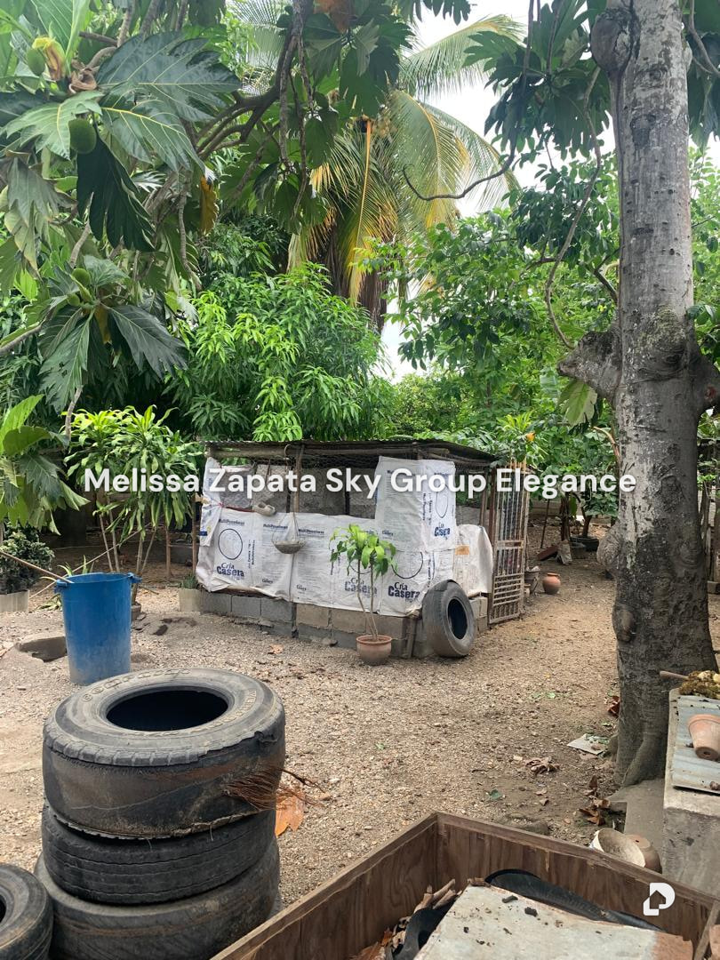 Terreno en Barquisimeto – 6