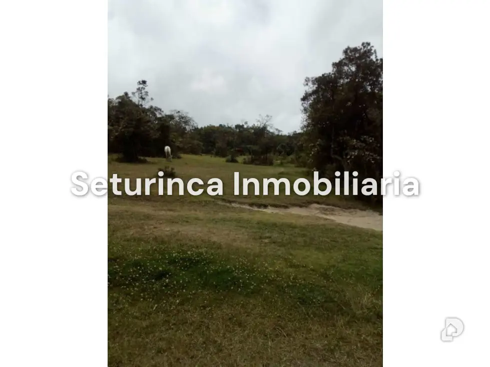 Terreno en El Junquito, Caracas – 14