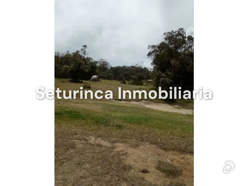 Terreno en El Junquito, Caracas – 19