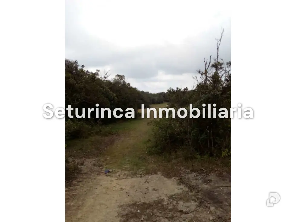 Terreno en El Junquito, Caracas – 9