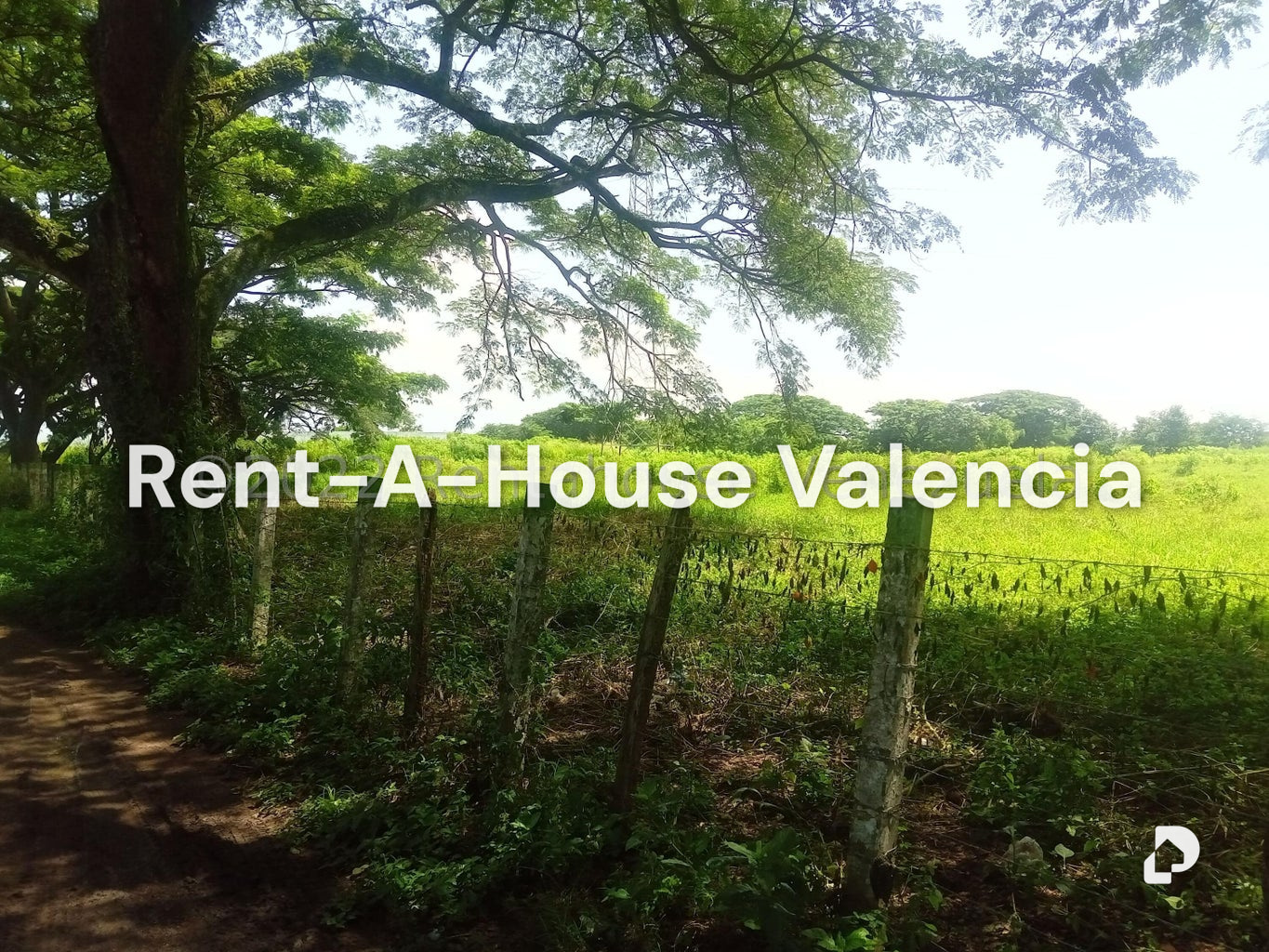 Terreno en Flor Amarillo, Valencia – 7