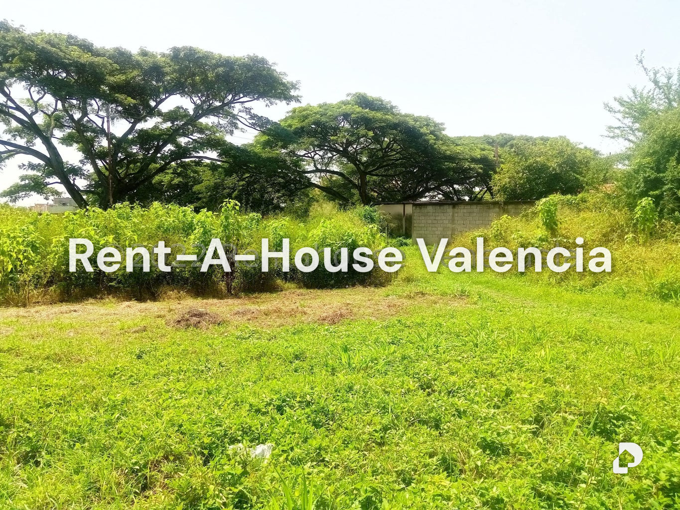 Terreno en Flor Amarillo, Valencia – 4