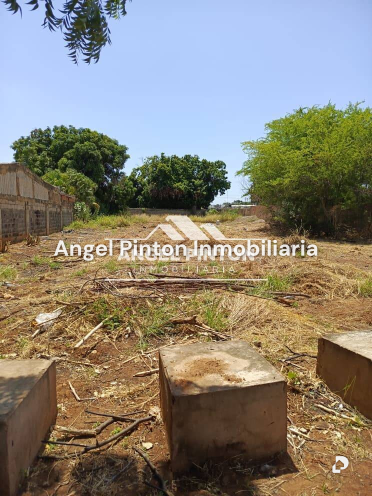 Terreno en Raúl Leoni, Maracaibo – 3