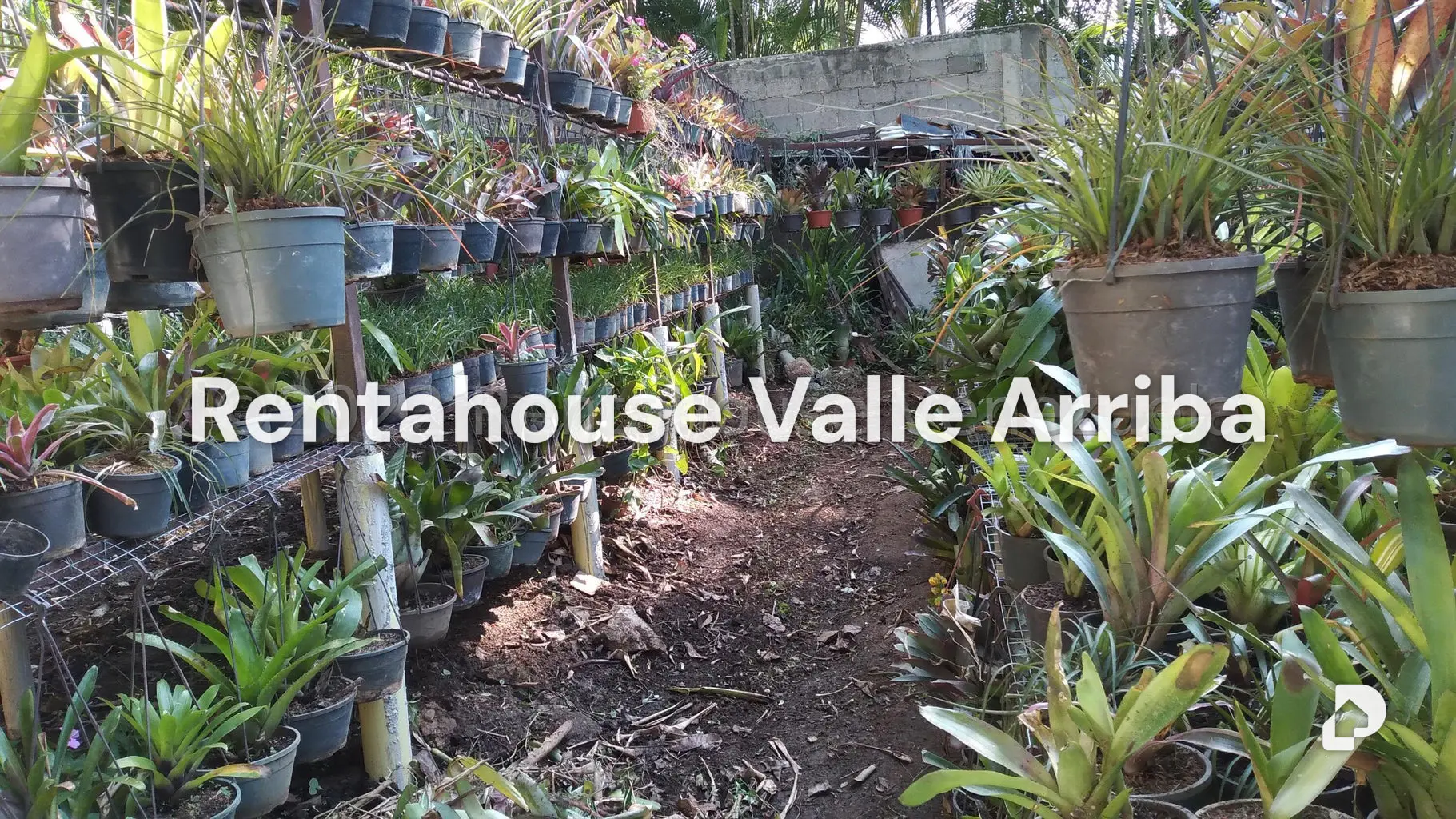 Terreno en Los Chorros, Caracas – 13