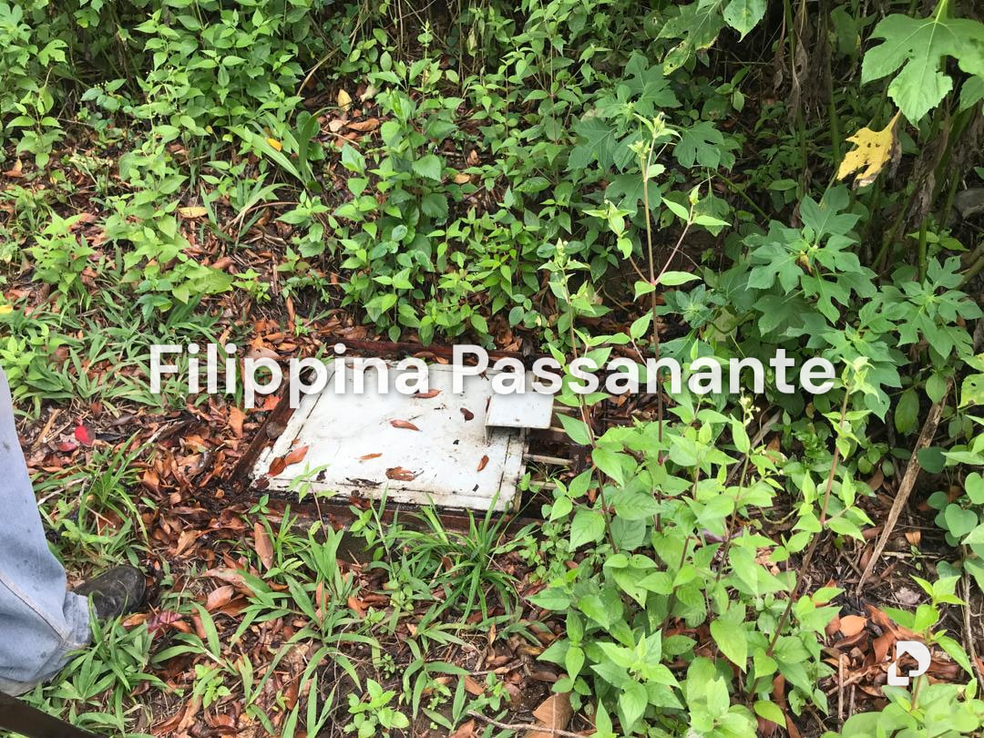 Terreno en Teresen, Caripe – 4