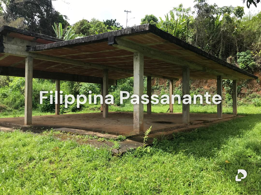 Terreno en Teresen, Caripe – 3