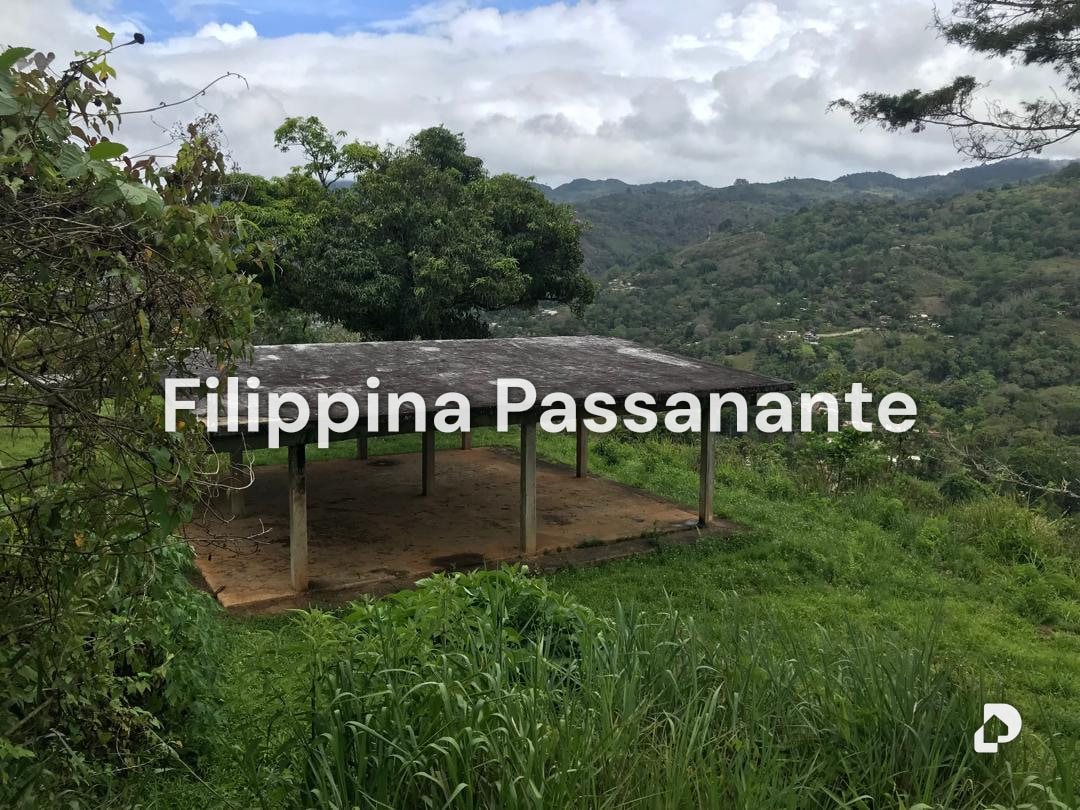 Terreno en Teresen, Caripe – 1