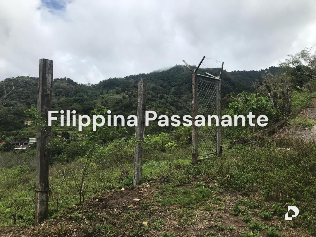 Terreno en Teresen, Caripe – 5