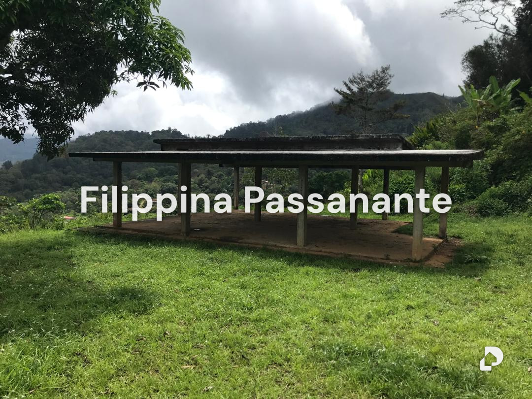 Terreno en Teresen, Caripe – 2