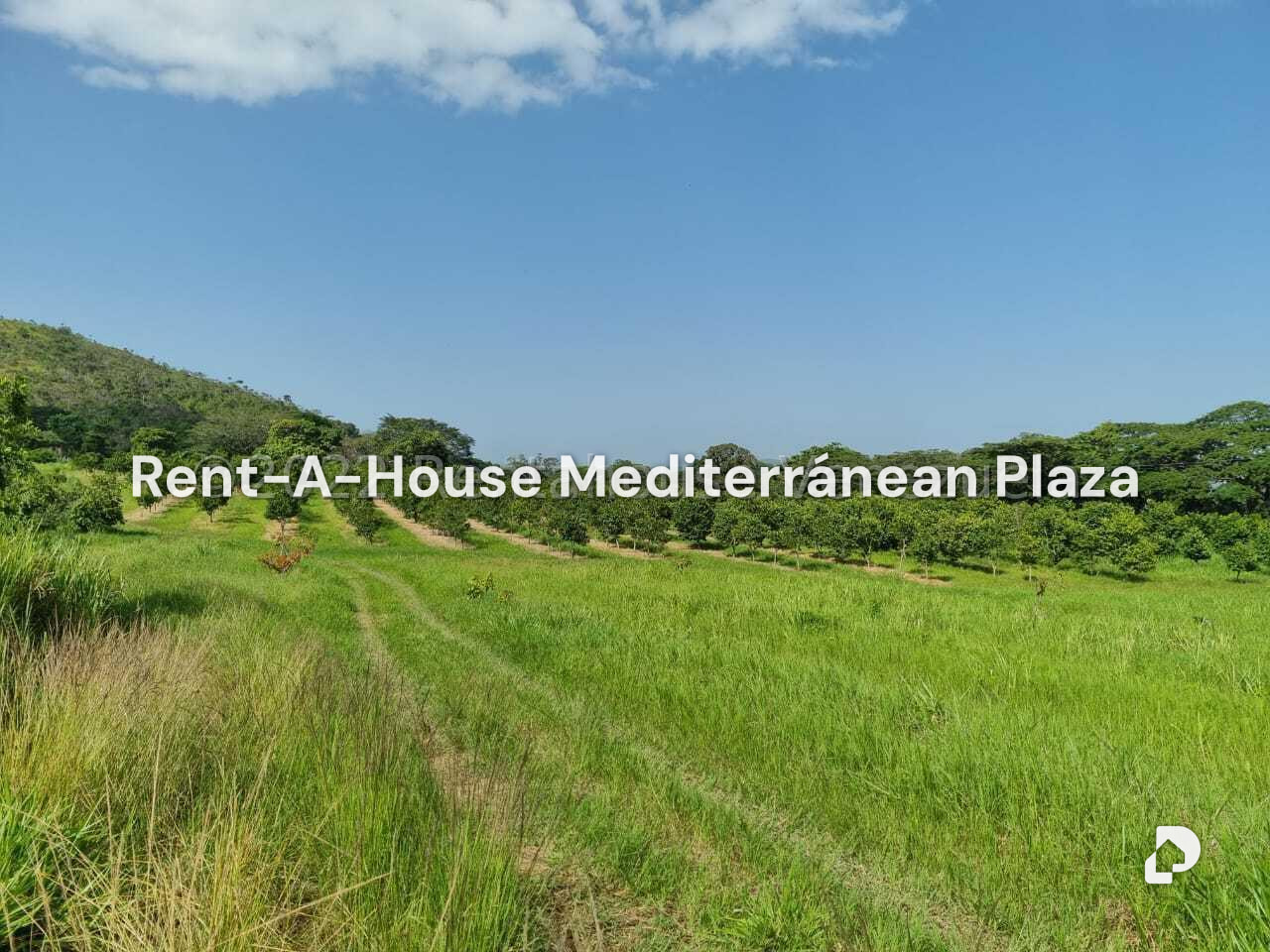 Finca en Montalbán – 12